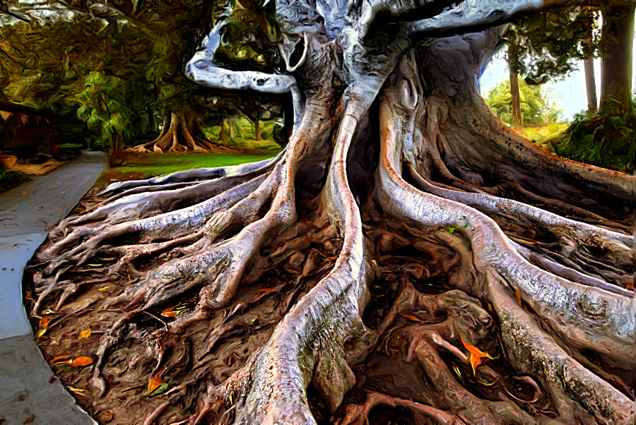 Moreton Bay Fig 19 Glow_Painting